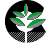 Attualità | Certiplant