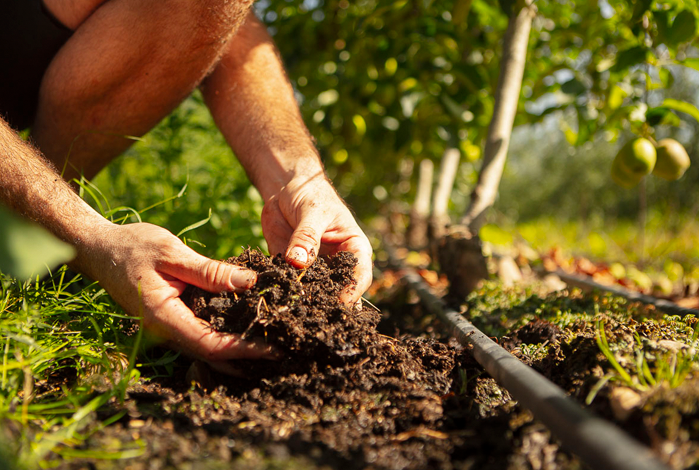 Inicio | Certiplant