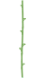 Plant typology | Certiplant